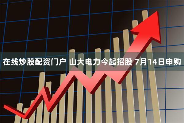 在线炒股配资门户 山大电力今起招股 7月14日申购