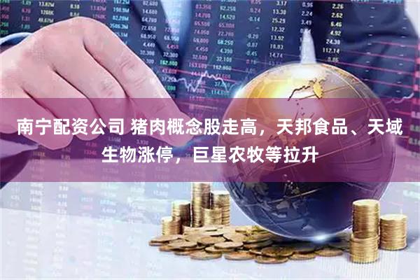 南宁配资公司 猪肉概念股走高，天邦食品、天域生物涨停，巨星农牧等拉升